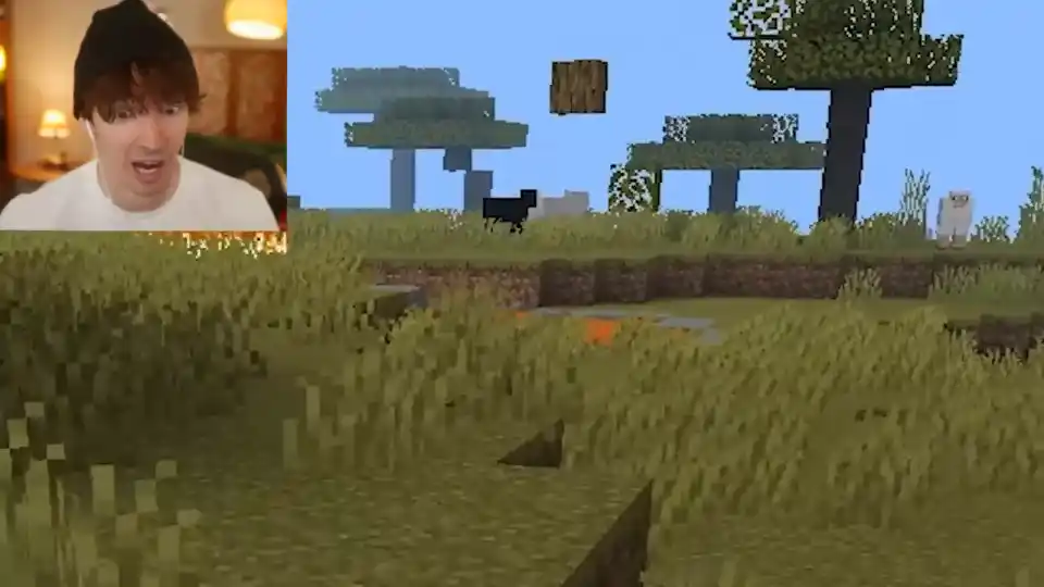 Flamingo reacting as the animals start dying