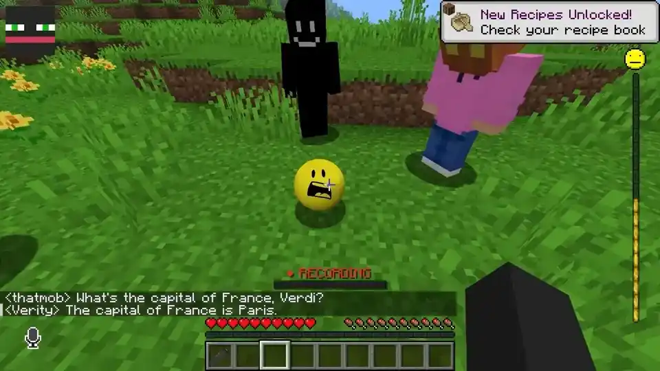 Verity correctly identifying the player's biome